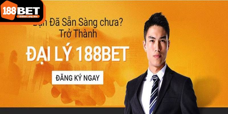 Theo dõi và đánh giá kết quả của hoạt động đại lý